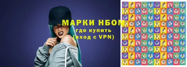 гашик Переславль-Залесский