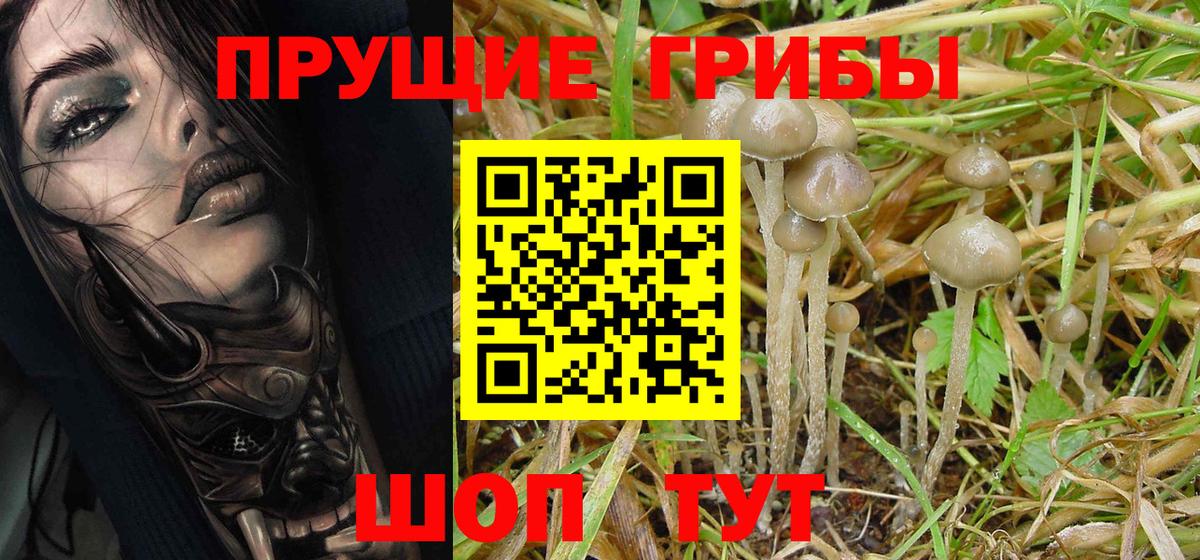 Псилоцибиновые грибы Magic Shrooms  Видное  Псилоцибиновые грибы мухоморы 
