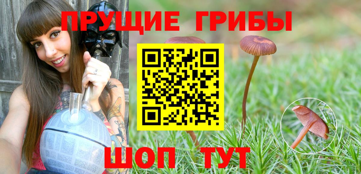 Псилоцибиновые грибы мицелий  Вход с VPN  Видное 